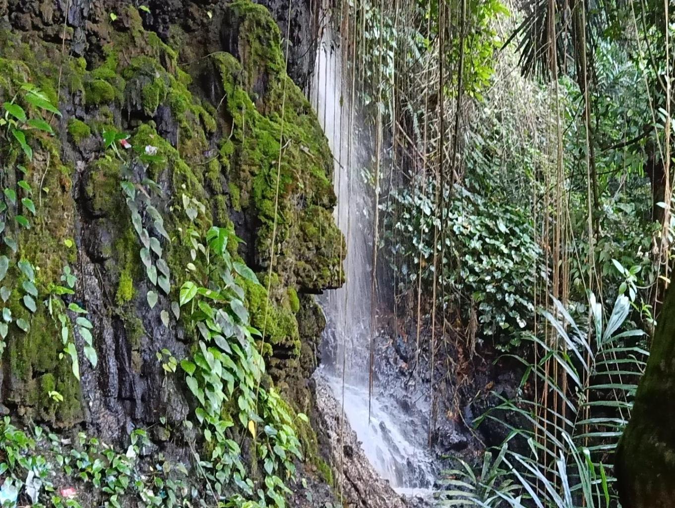 Swa Photo di Tebing Purba