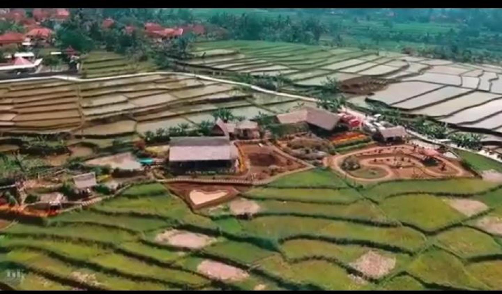 kampoeng sawah