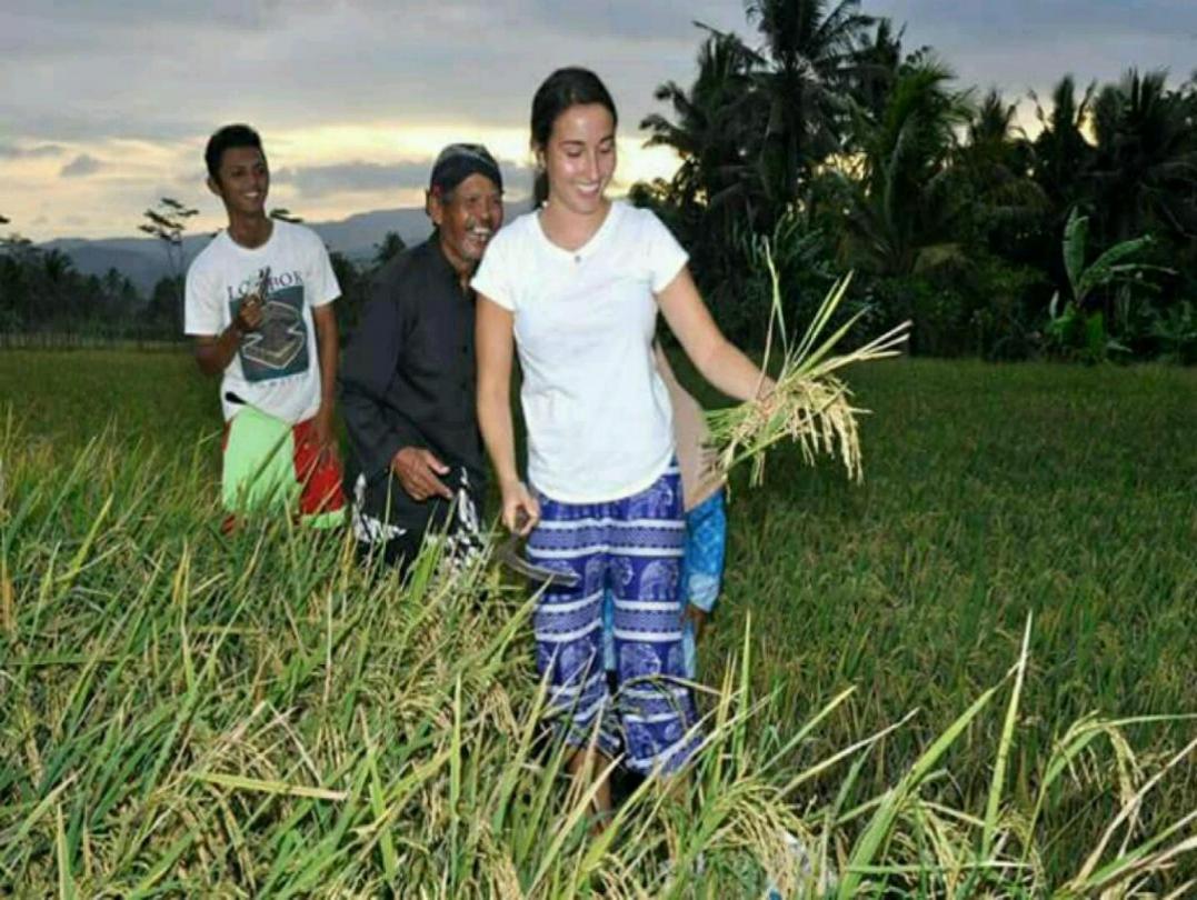 Kampoeng Dolanan Jamus Kauman