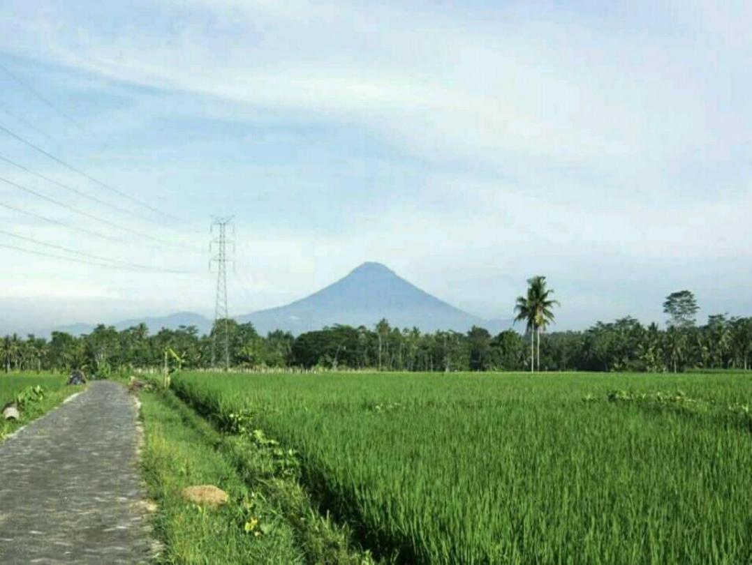 Kampoeng Dolanan Jamus Kauman