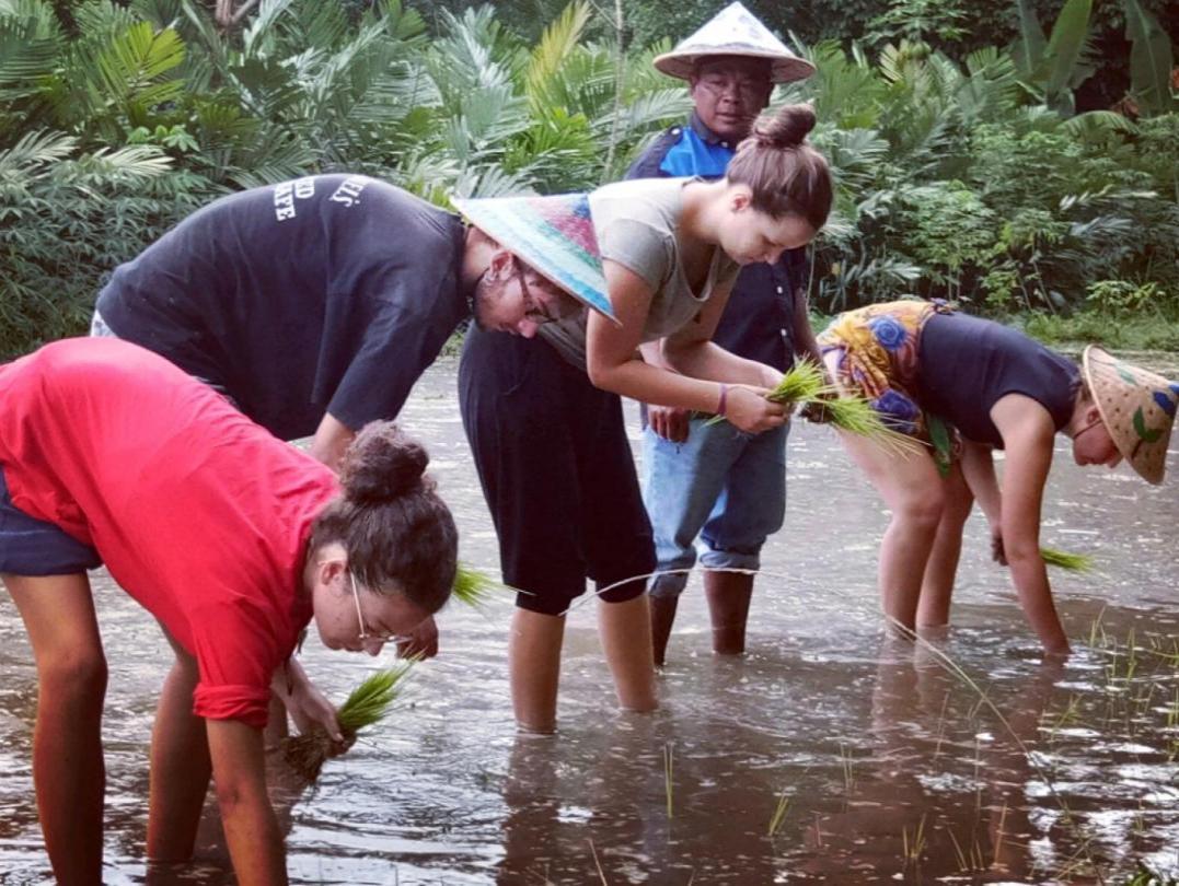 Desa Wisata Pulesari