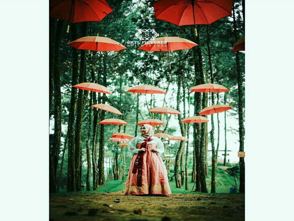 Desa Wisata Punthuk Mangir