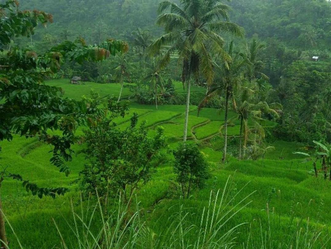 Desa Wisata Lantan Batukliang Utara