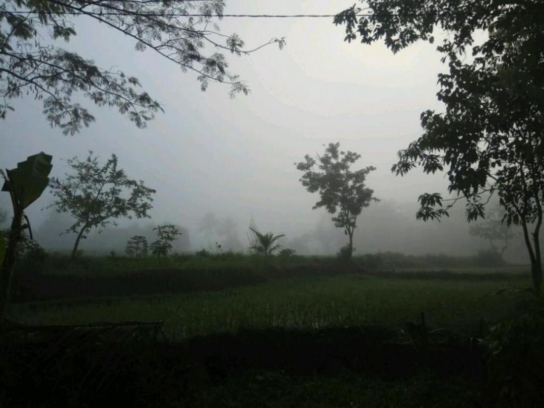 Kopang Rinjani Shelter