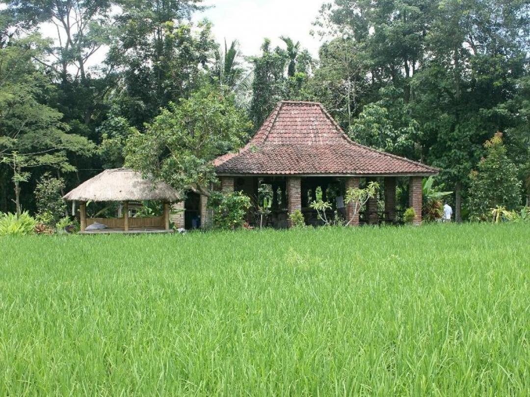 Kopang Rinjani Shelter