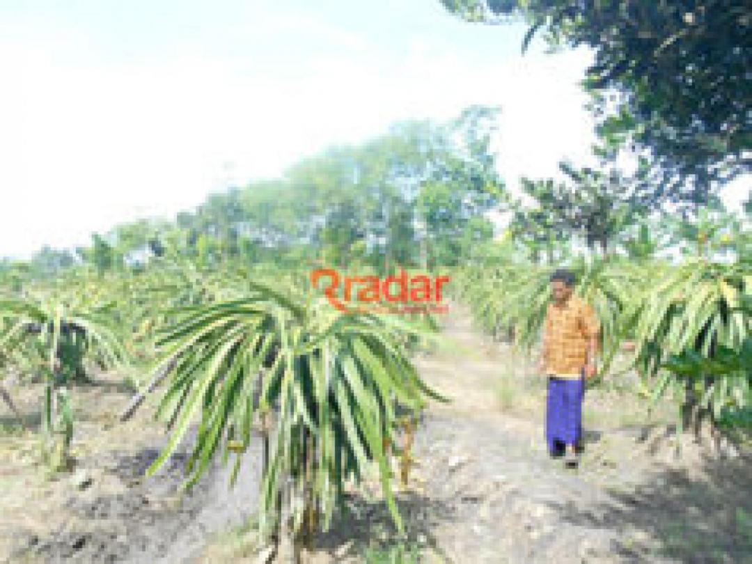 Kopang Rinjani Shelter