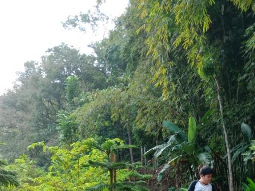 Desa Wisata Boonpring Sanankerto