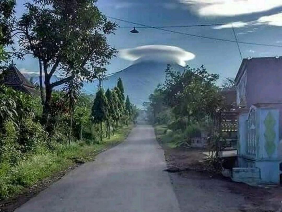 Desa wisata sumber putih (Hutan pinus semeru)