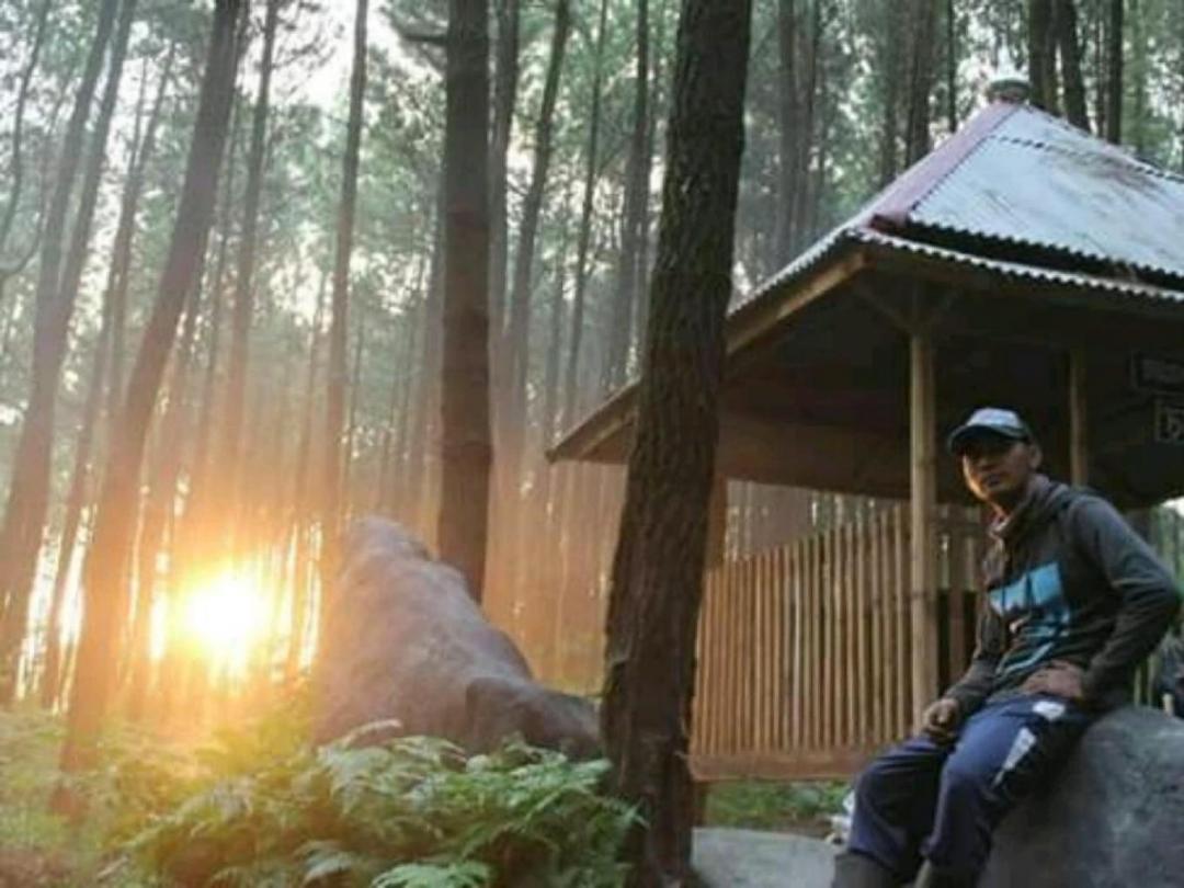 Desa wisata sumber putih (Hutan pinus semeru)