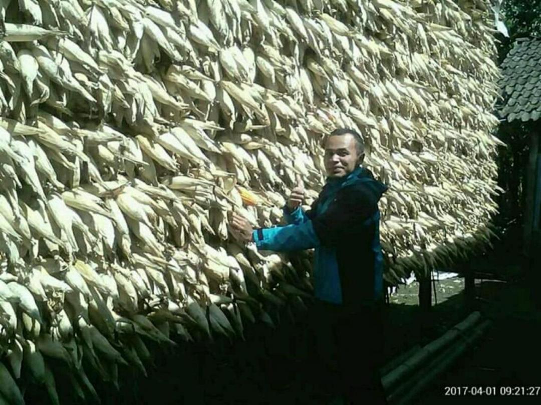 Desa Wisata Bendolawang Ngadirejo