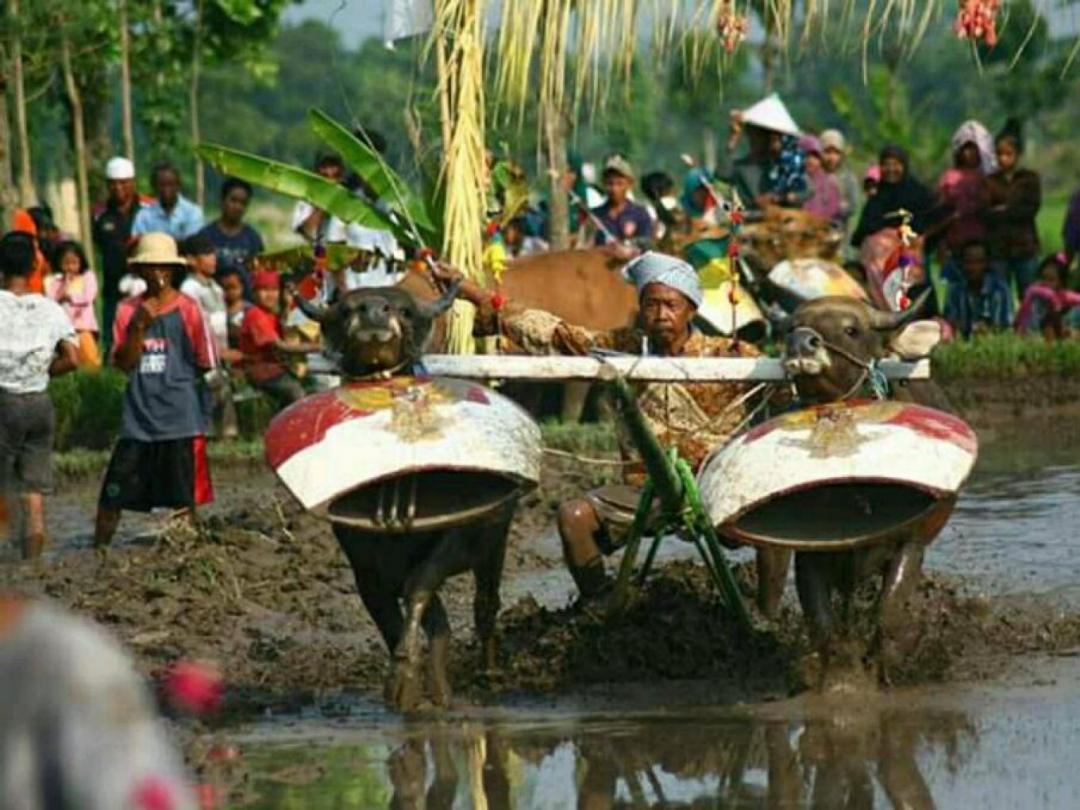 Desa Wisata Hijau Bilebante