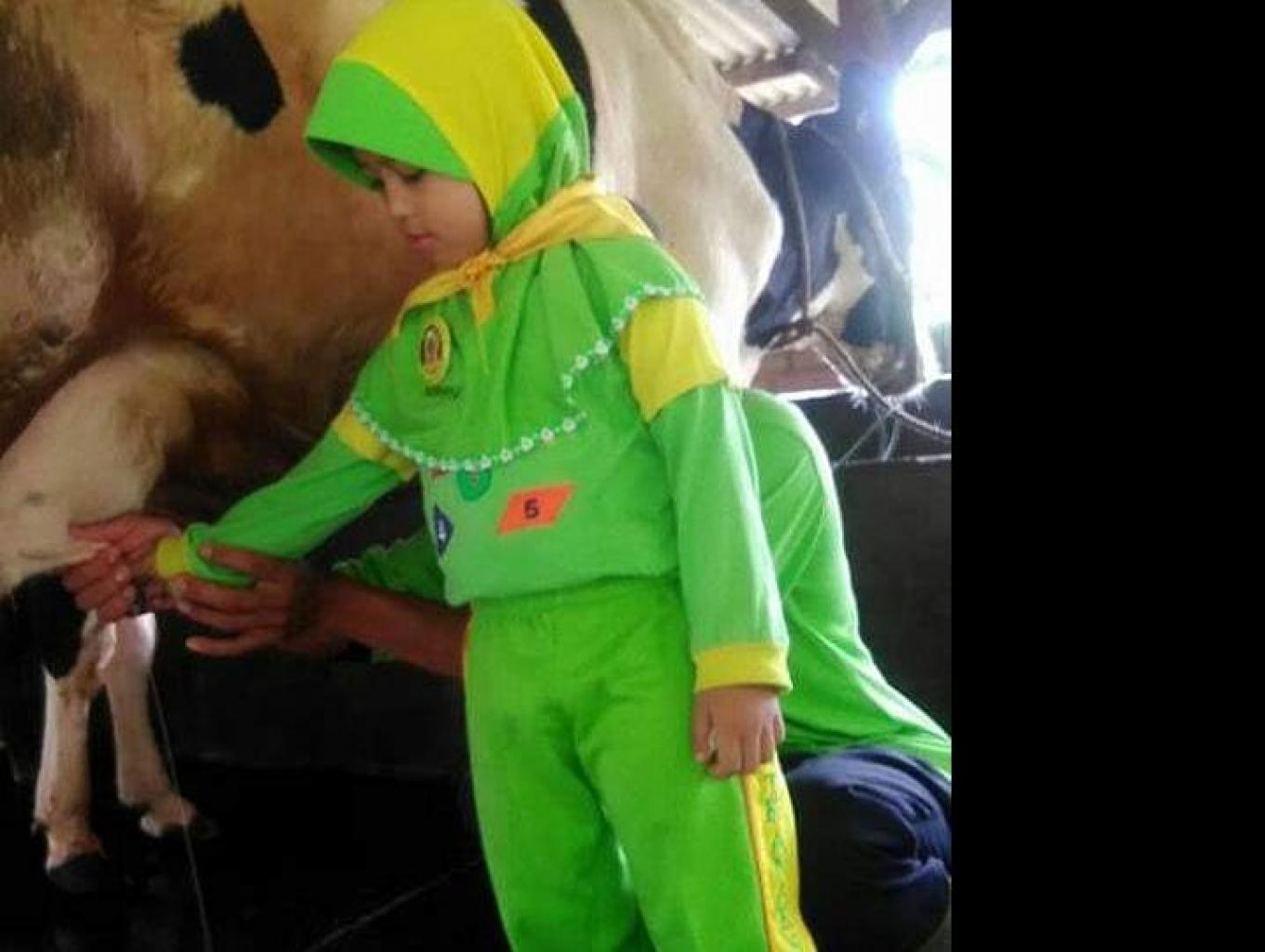 Wisata edukasi perah susu sapi