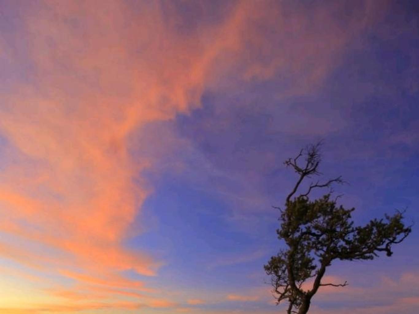 Sunrise Seruni Point