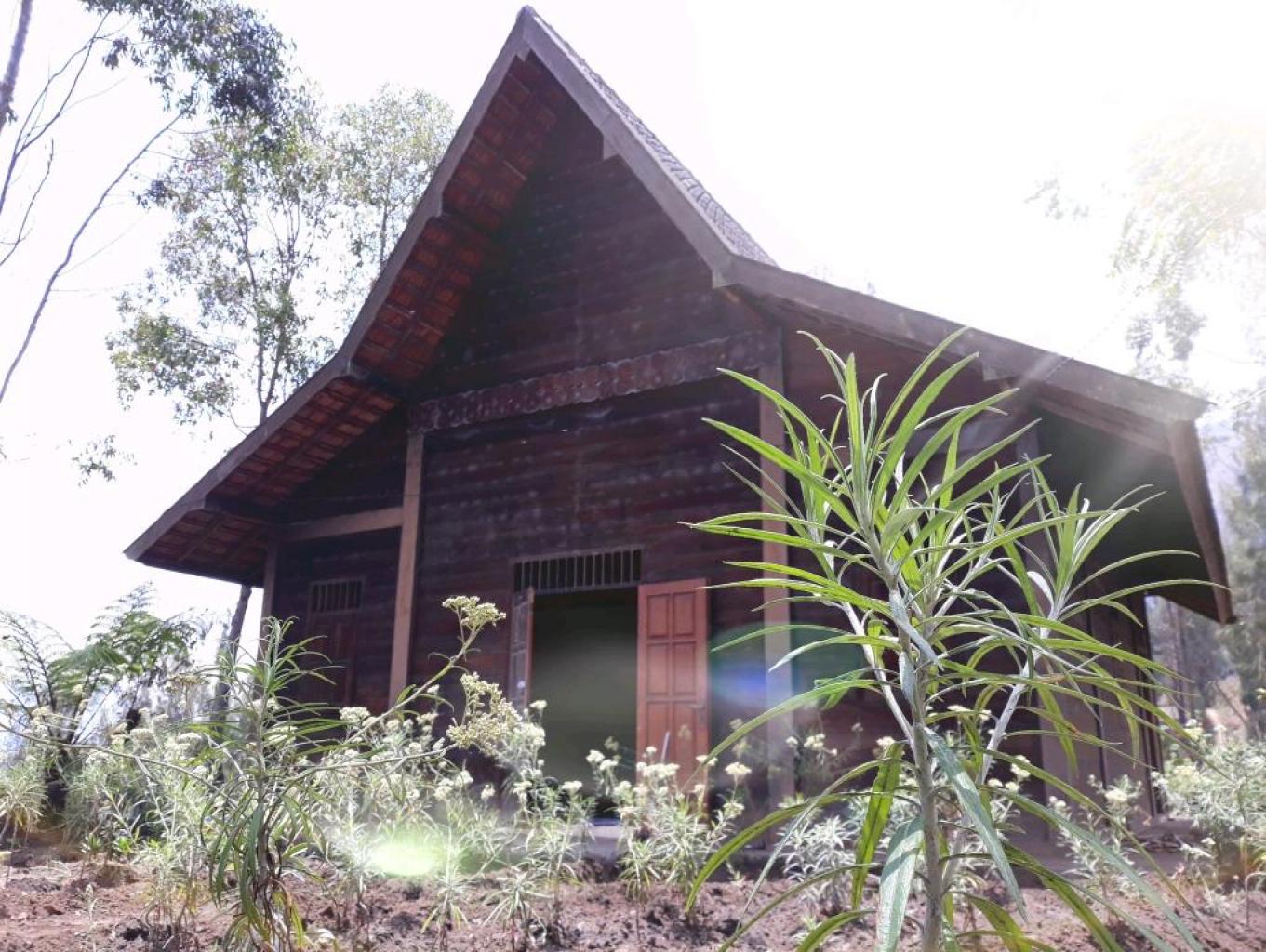 Desa Wisata Ngadisari