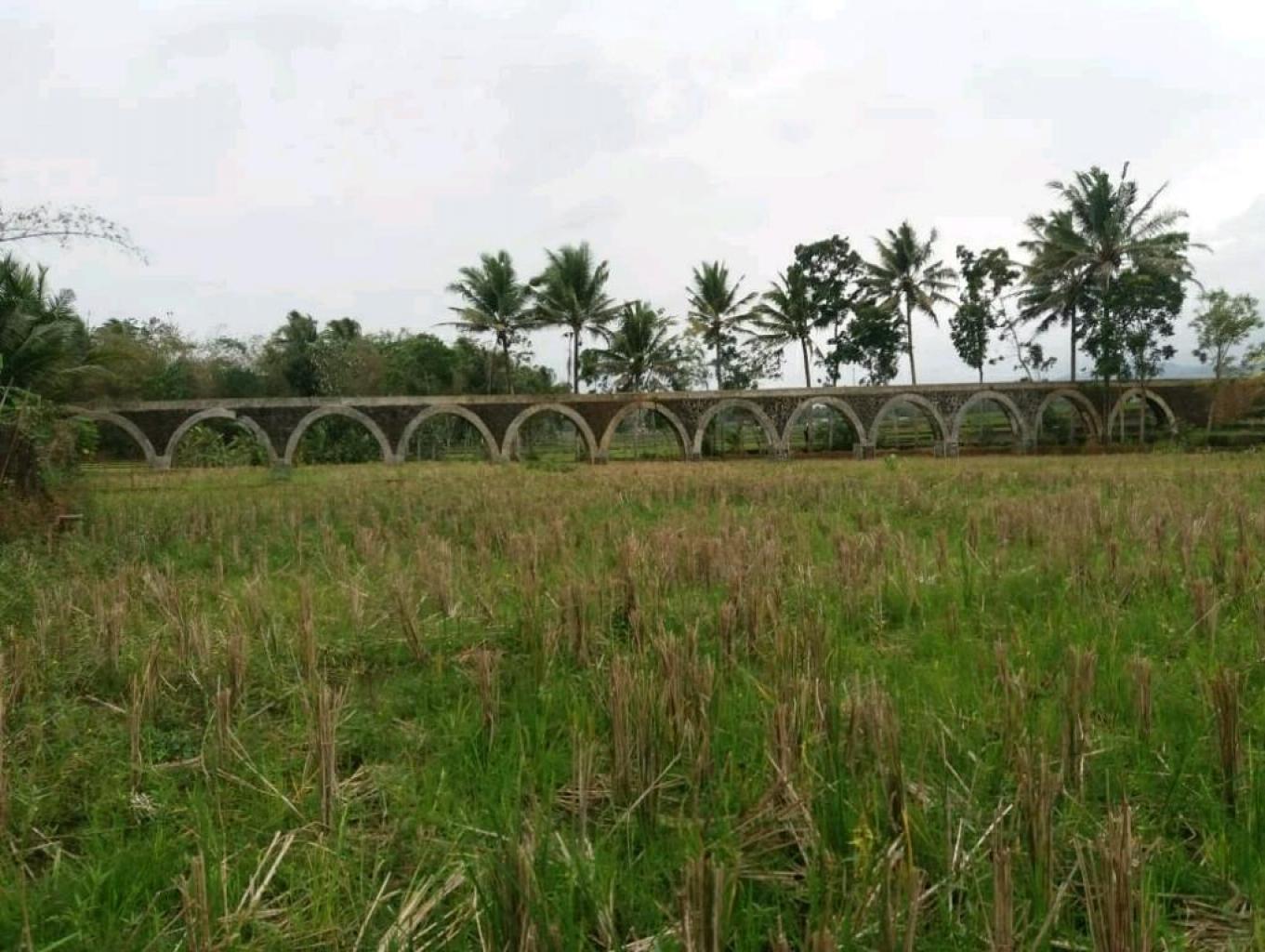 Desa Wisata Pagak