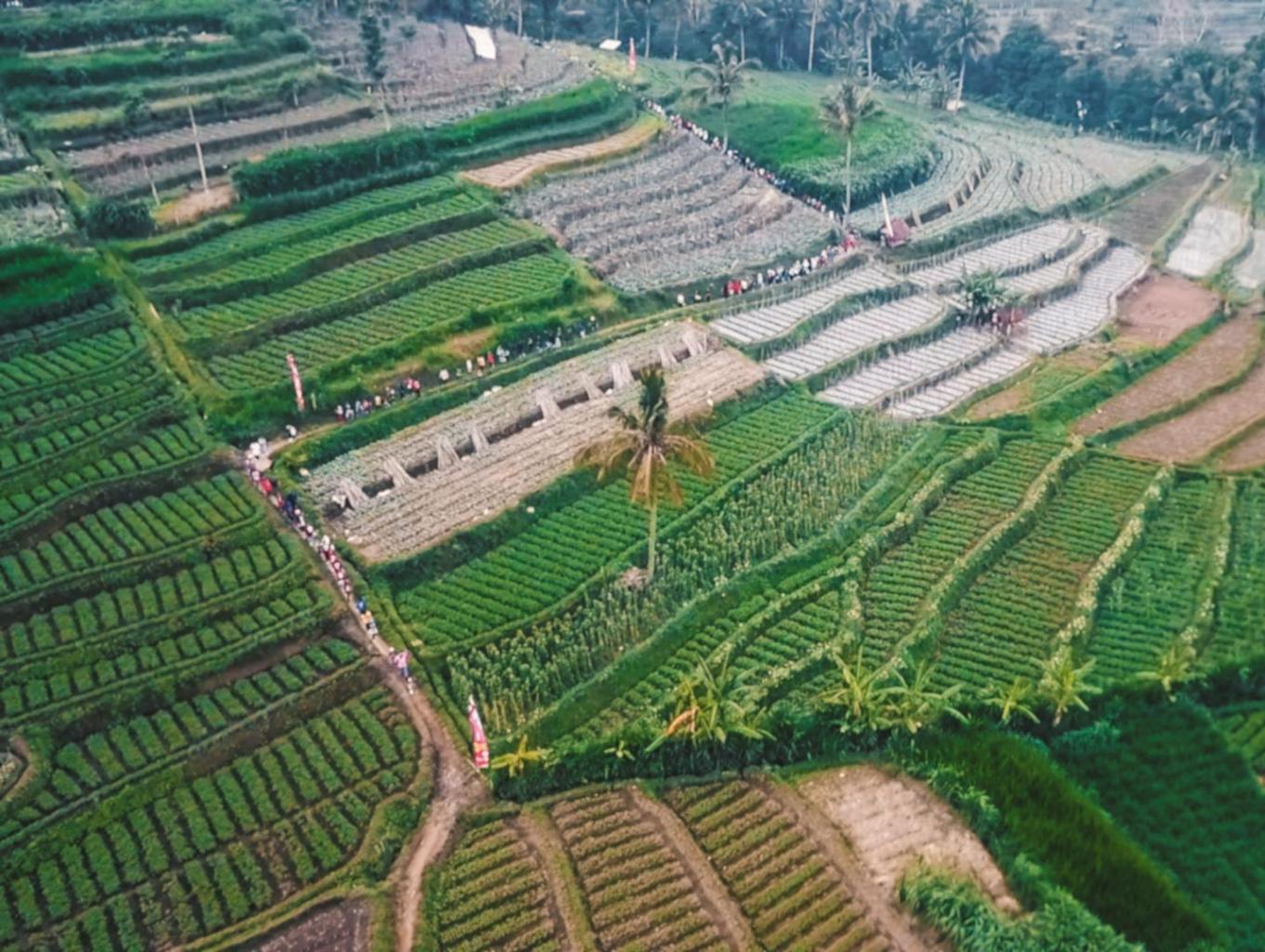Lembah Gunung Tumpeng