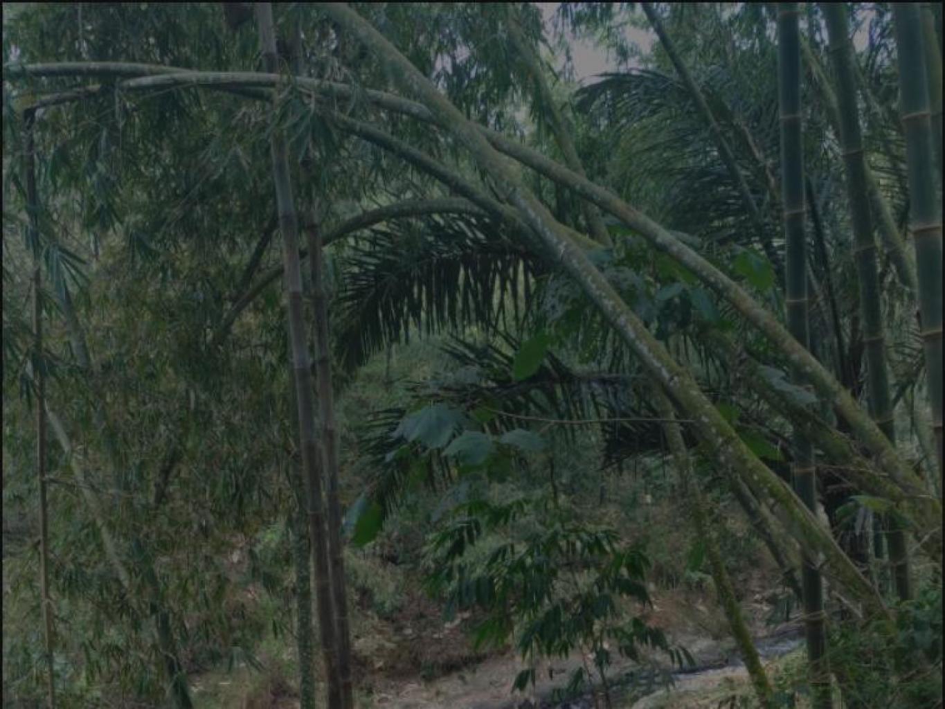 Lembah Gunung Tumpeng