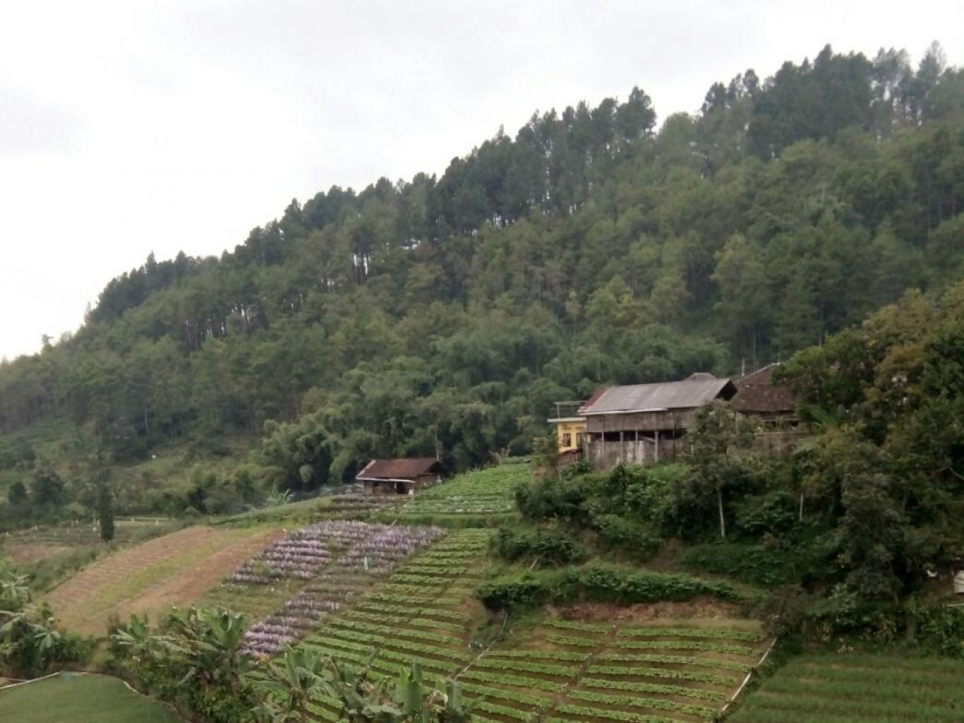 Desa Wisata Tulungrejo