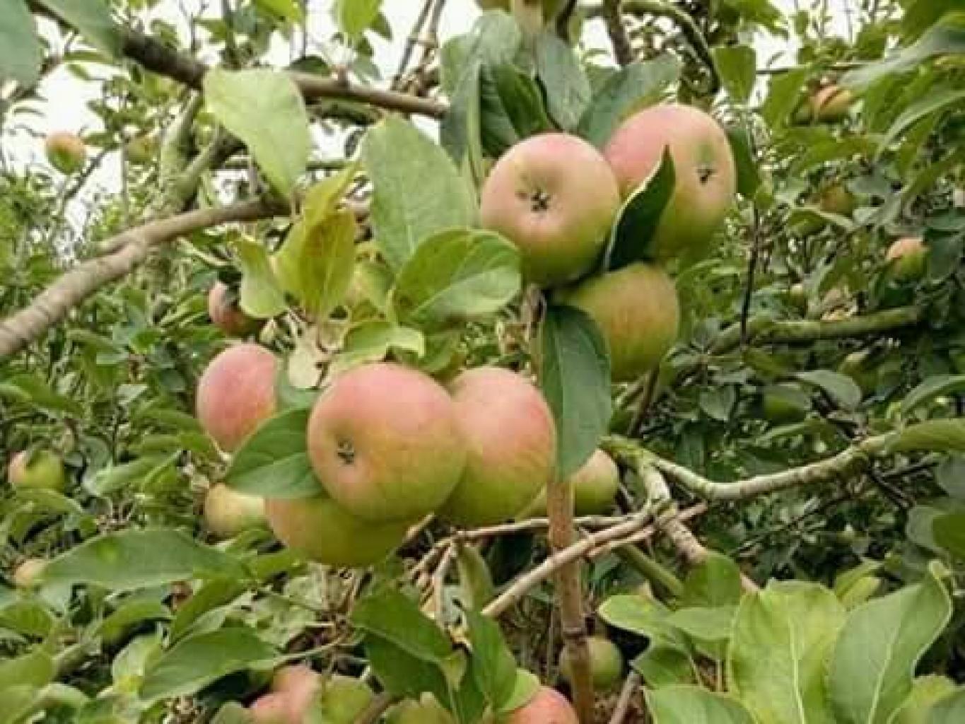 Desa Wisata Tulungrejo