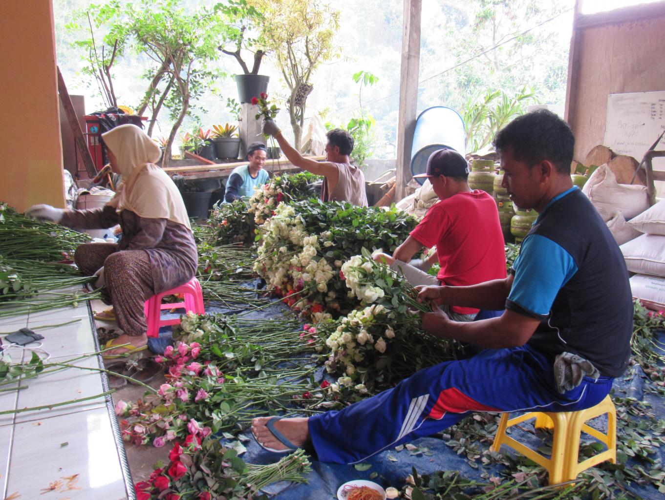 desa wisata gunungsari