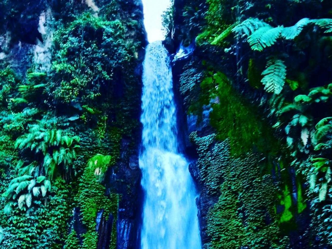 Bale Arjuno Villa Keluarga