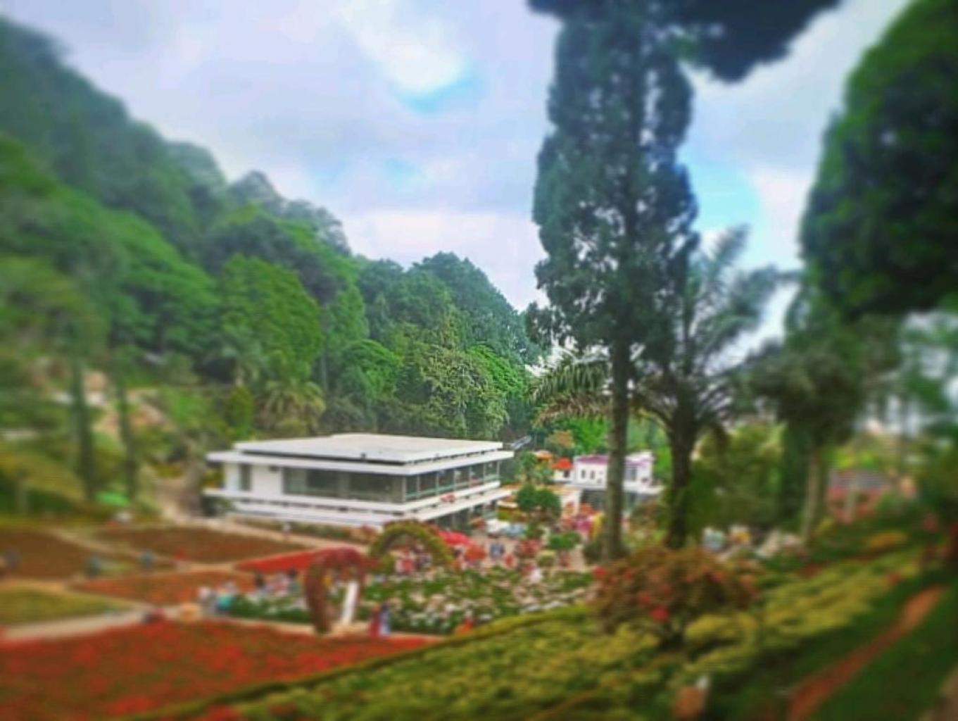 Bale Arjuno Villa Keluarga