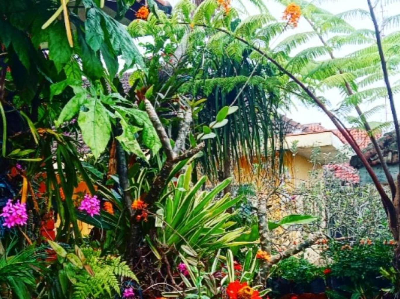 Bale Arjuno Villa Keluarga