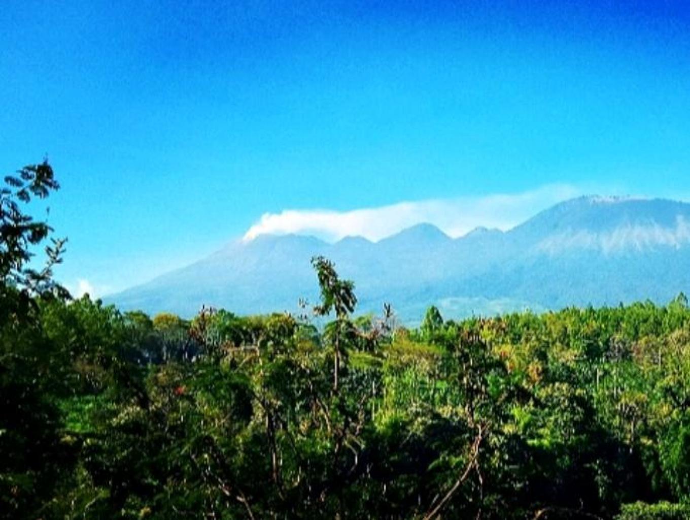 Bale Arjuno Villa Keluarga