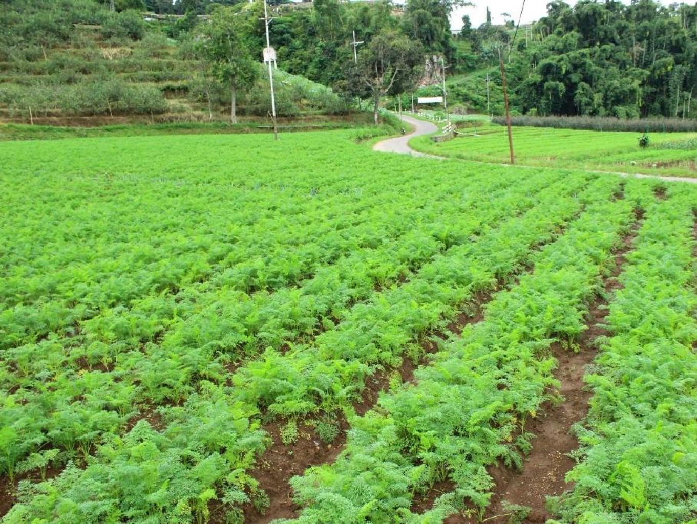 KenDedes Garden Villa